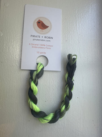 Pirate + Robin: Neon Noir