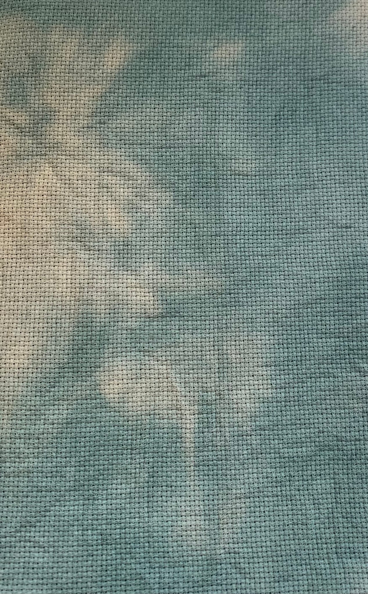 20ct Aida By Jodi SCS - Moldy cheese