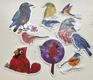 Birds  Pack