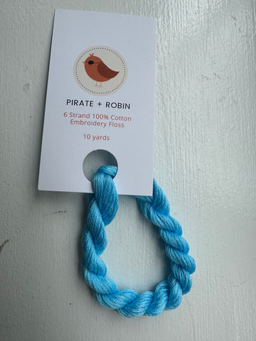 Pirate + Robin: Ice