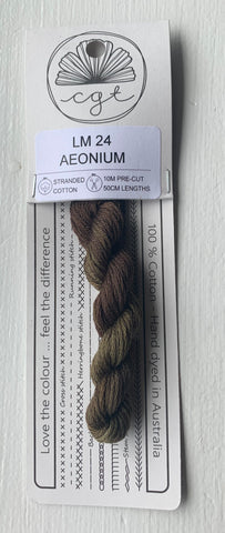 Aeonium - Cottage Garden Threads