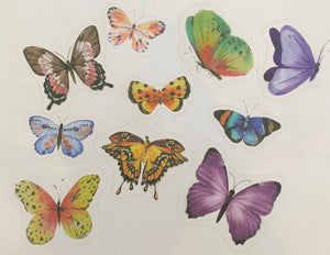 Butterfly Transparent Sticker pack