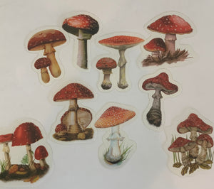 Mushroom transparent sm. Sticker pack